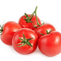 POMODORO TONDO LISCIO F1